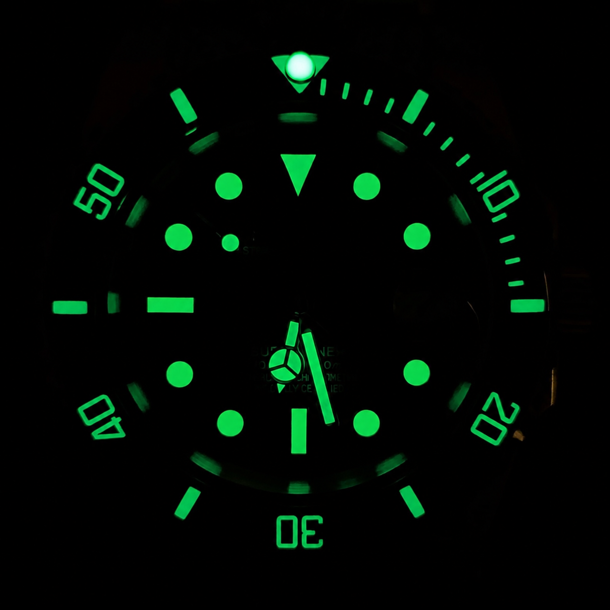 Automatic Diver Black Edition Watch